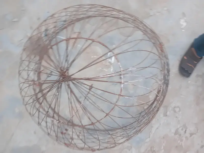 aseel murga steel cage — photo 3