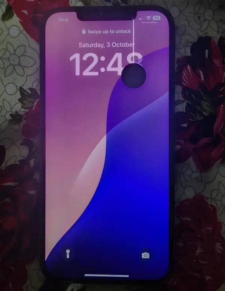 Apple iPhone 12 Pro Max 1