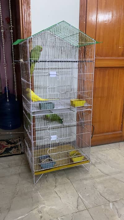 4 Parrots and cage