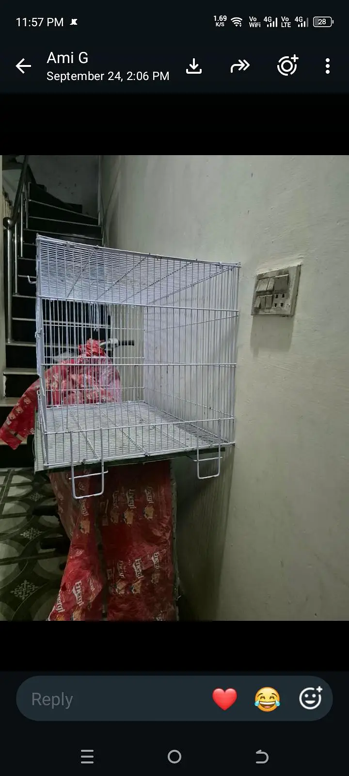 cage for sale