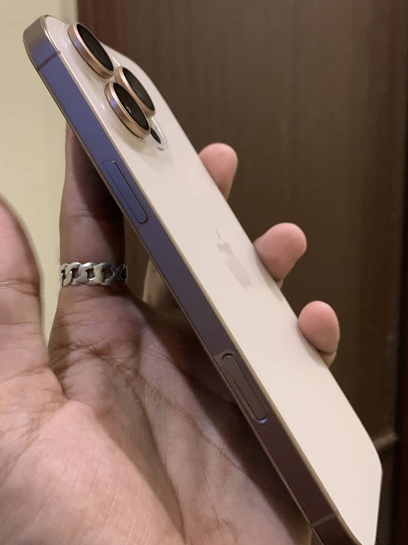 Apple iPhone 16 Pro Max 1