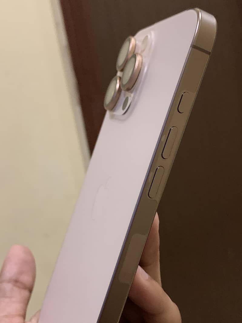 Apple iPhone 16 Pro Max 4