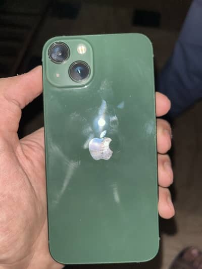 Iphone 13 alpine green