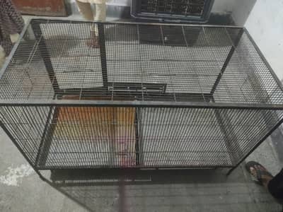 4 foot big IRon cage=48×24×28(contact on Whatsapp 03264080272)