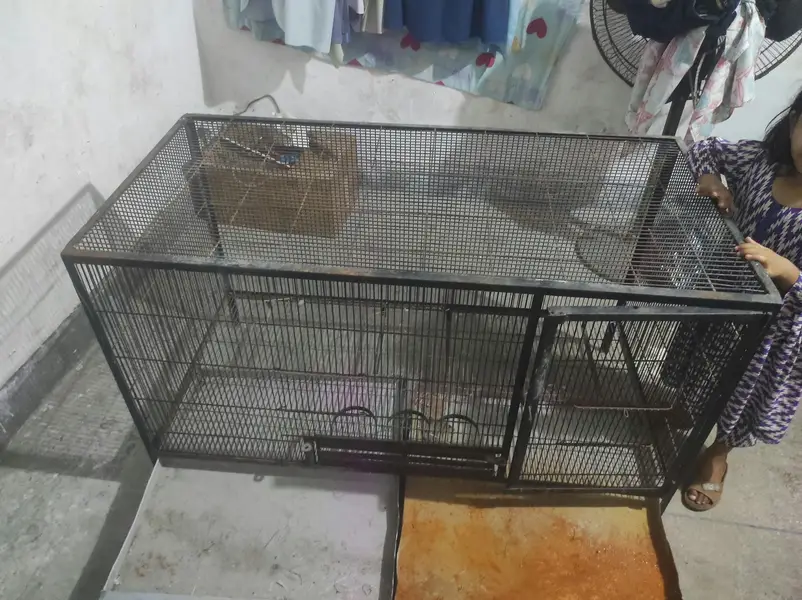 4 foot big IRon cage=48×24×28(contact on Whatsapp 03264080272) — photo 2