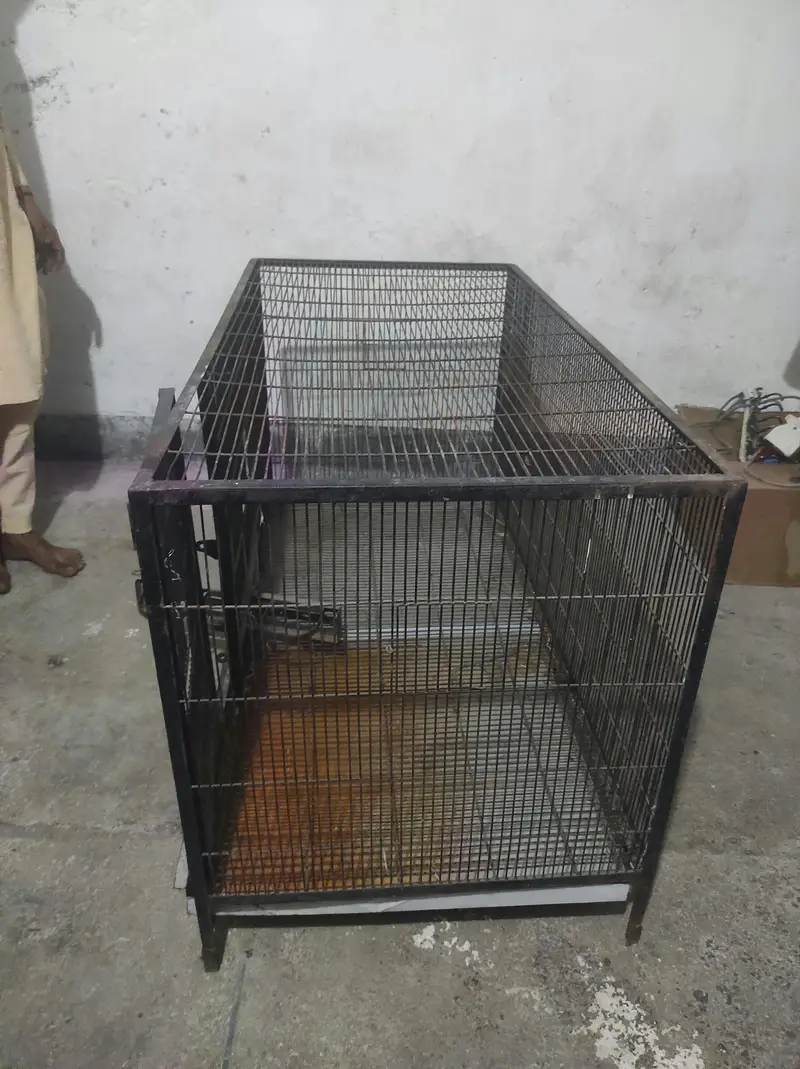 4 foot big IRon cage=48×24×28(contact on Whatsapp 03264080272) — photo 3