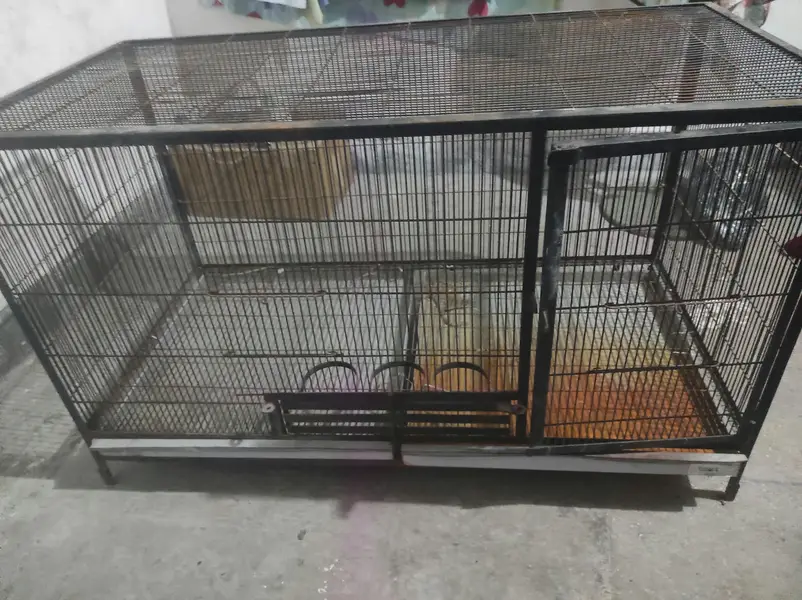 4 foot big IRon cage=48×24×28(contact on Whatsapp 03264080272) — photo 4