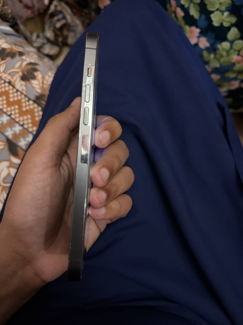 Apple iPhone 13 Pro Max 5