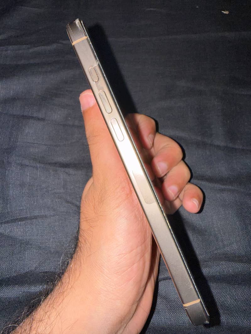 Apple iPhone 16 Pro Max 1
