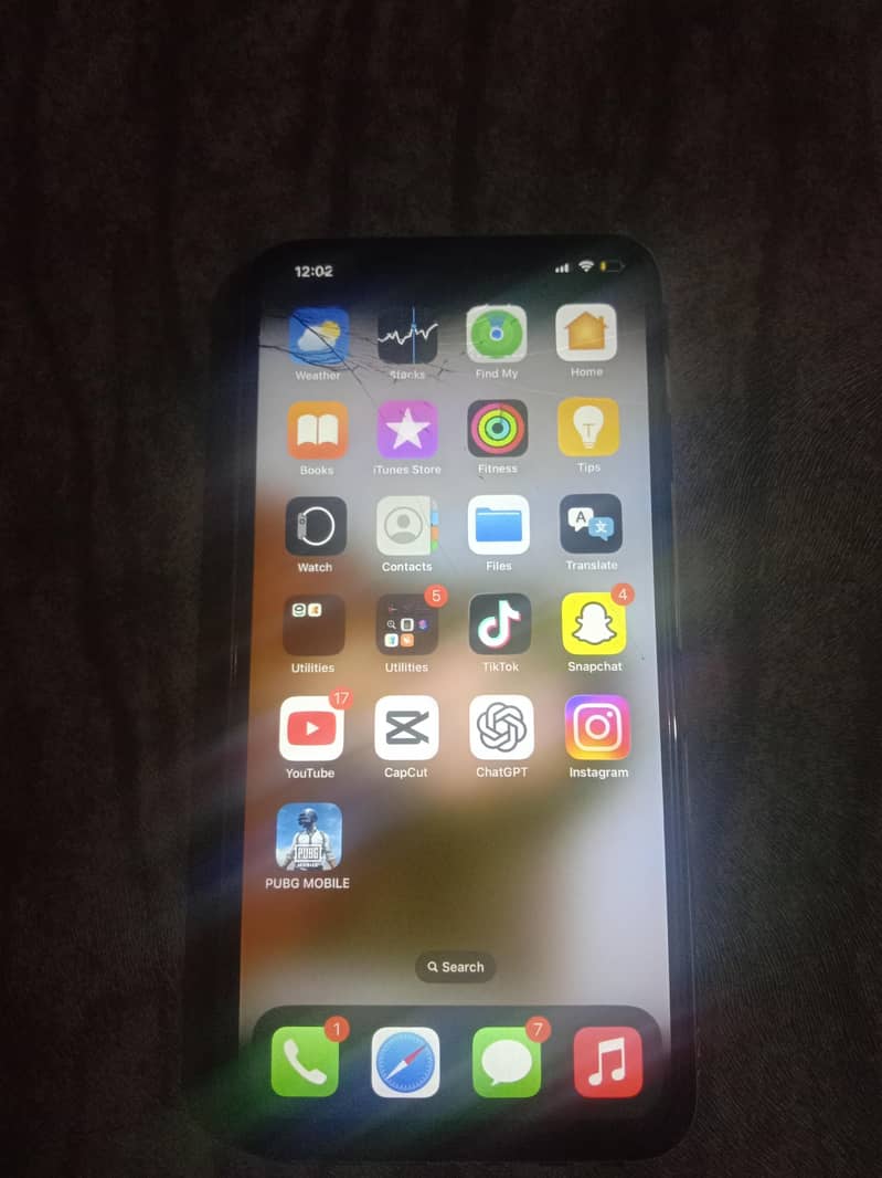 Apple iPhone XS Max 1