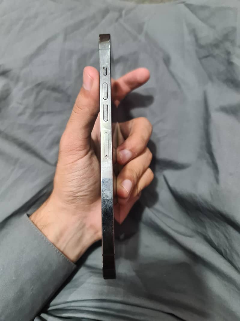 Apple iPhone 13 Pro Max 4