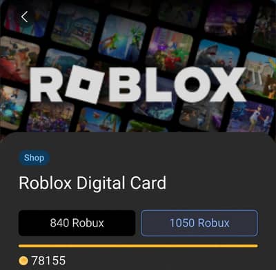 1050 & 840 Robux Digital Code - Instant Delivery - Pakistan