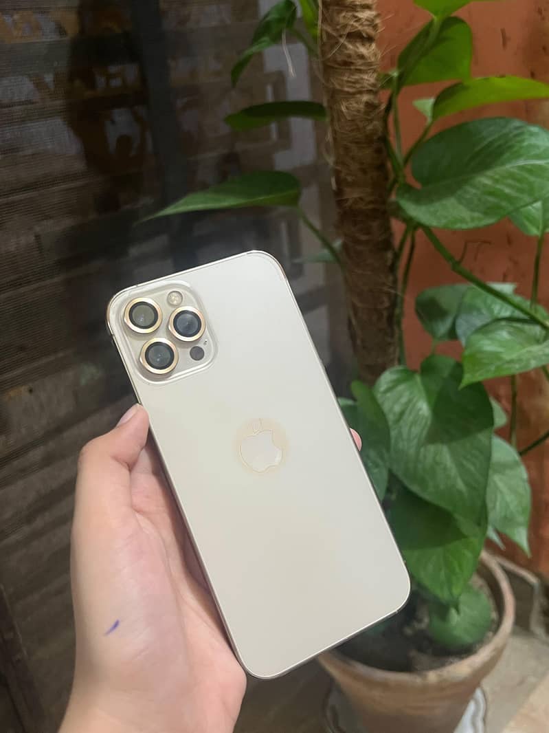 Apple iPhone 12 Pro Max 0