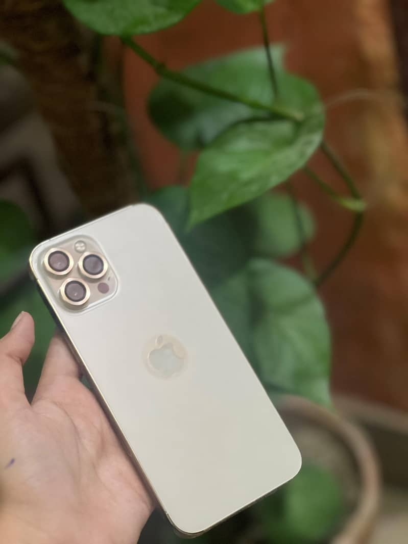 Apple iPhone 12 Pro Max 1