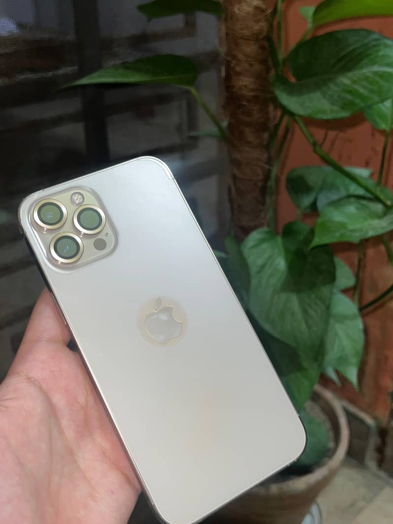 Apple iPhone 12 Pro Max 2