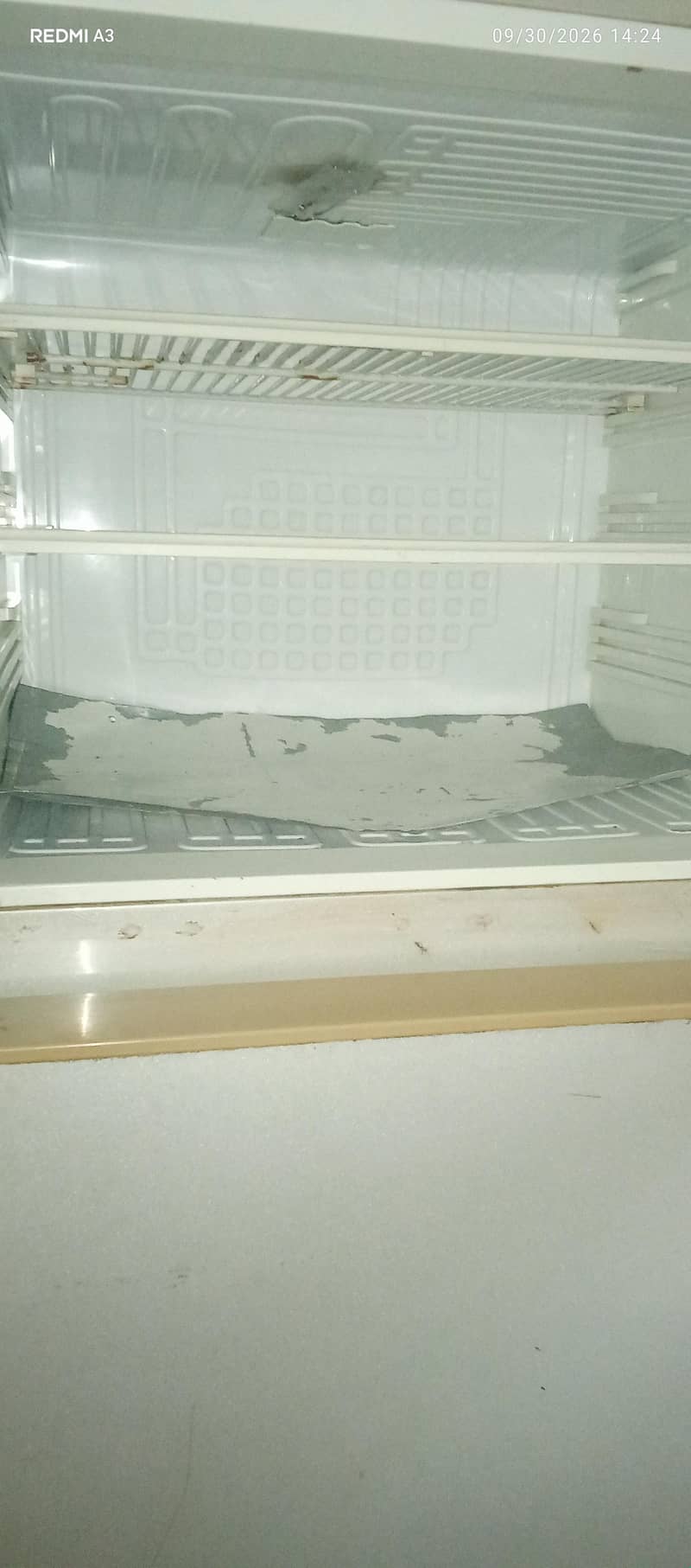 pel refrigerator 0