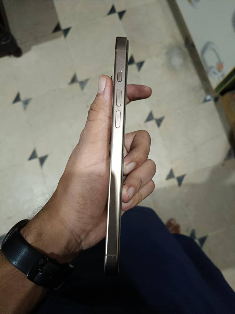 Apple iPhone 16 Pro Max 2