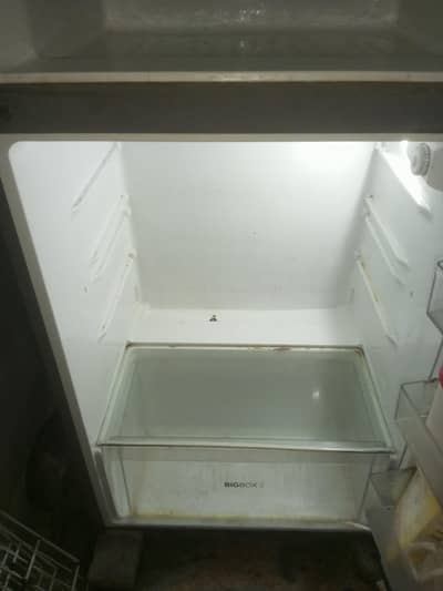 hair 2 door fridge