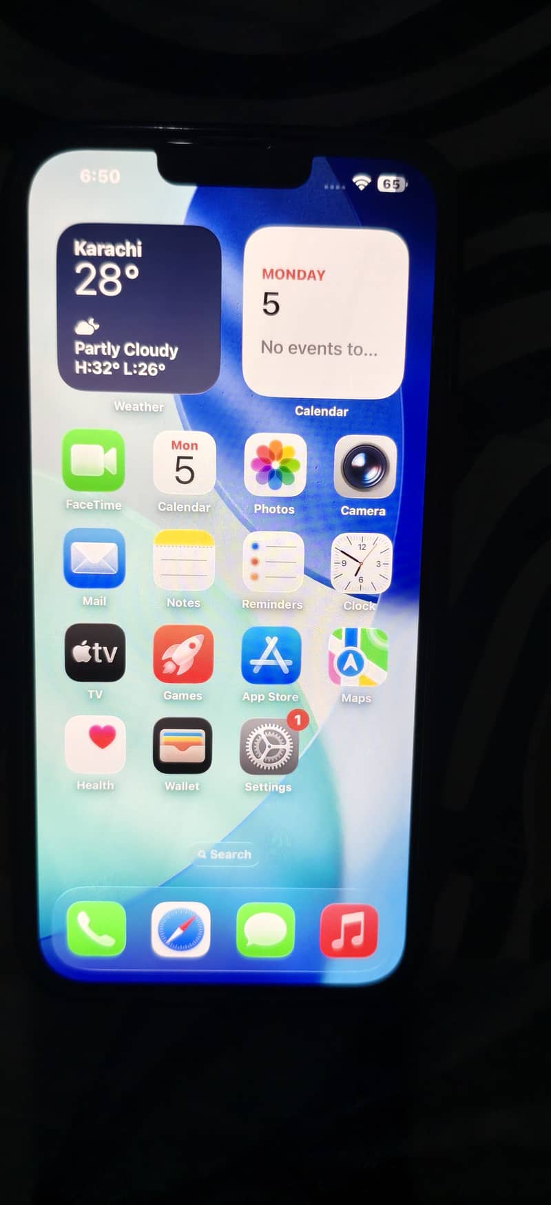 Apple iPhone 13 Pro Max 1