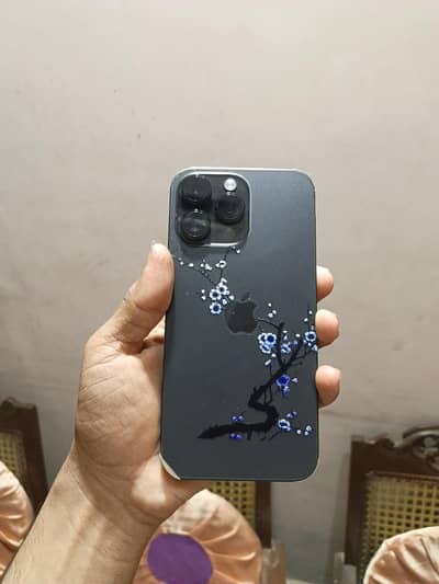 14pro max 256 GB