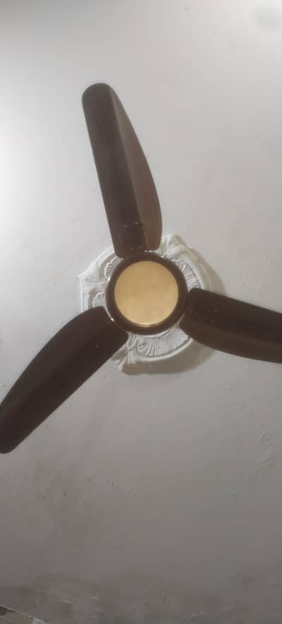 parwaz fan for sale