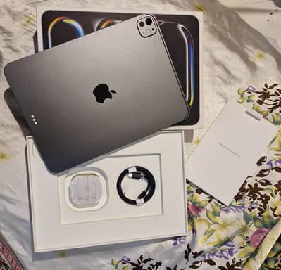iPad Pro M5 Gary 512 Gb  11 inch wifi