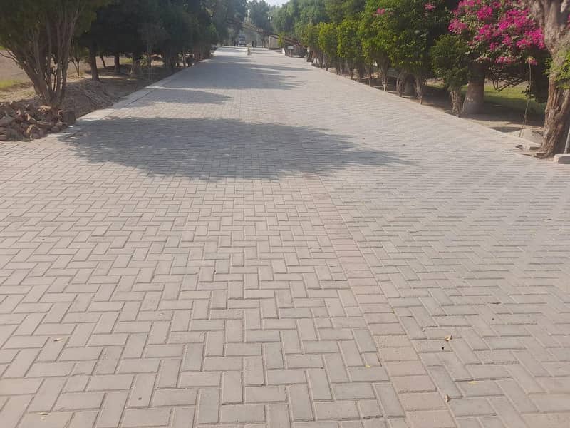 Tough tile punjab 4
