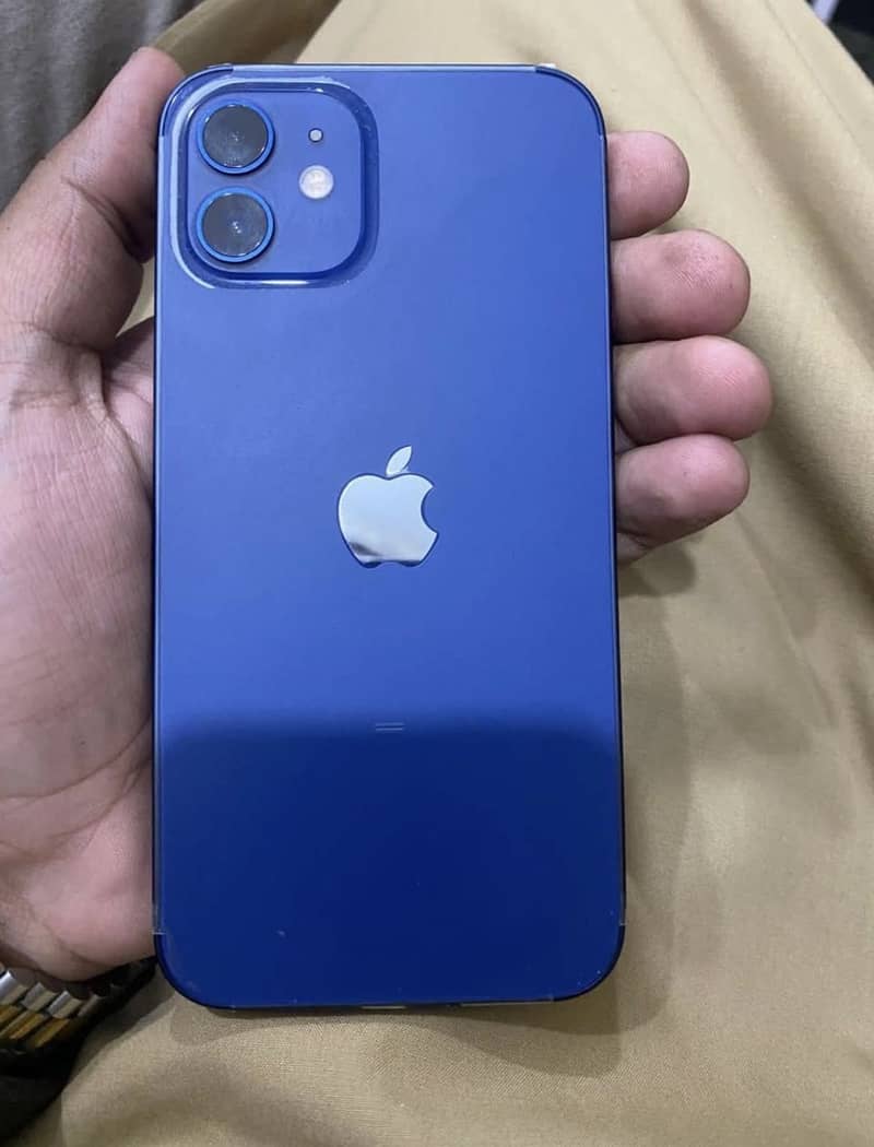 Apple iPhone 12 1