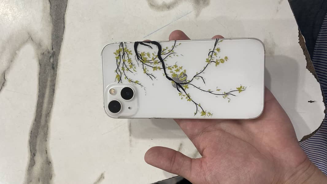 Apple iPhone 13 0