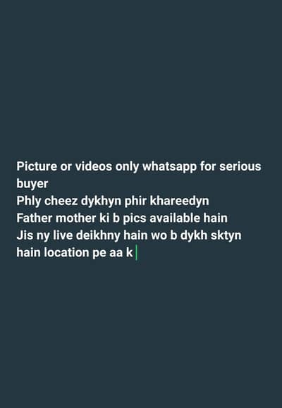 Aseel Chicks Quality will speak