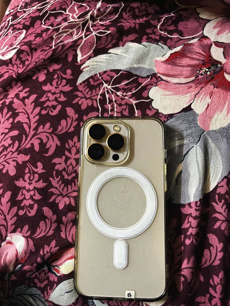 Apple iPhone 13 Pro 0