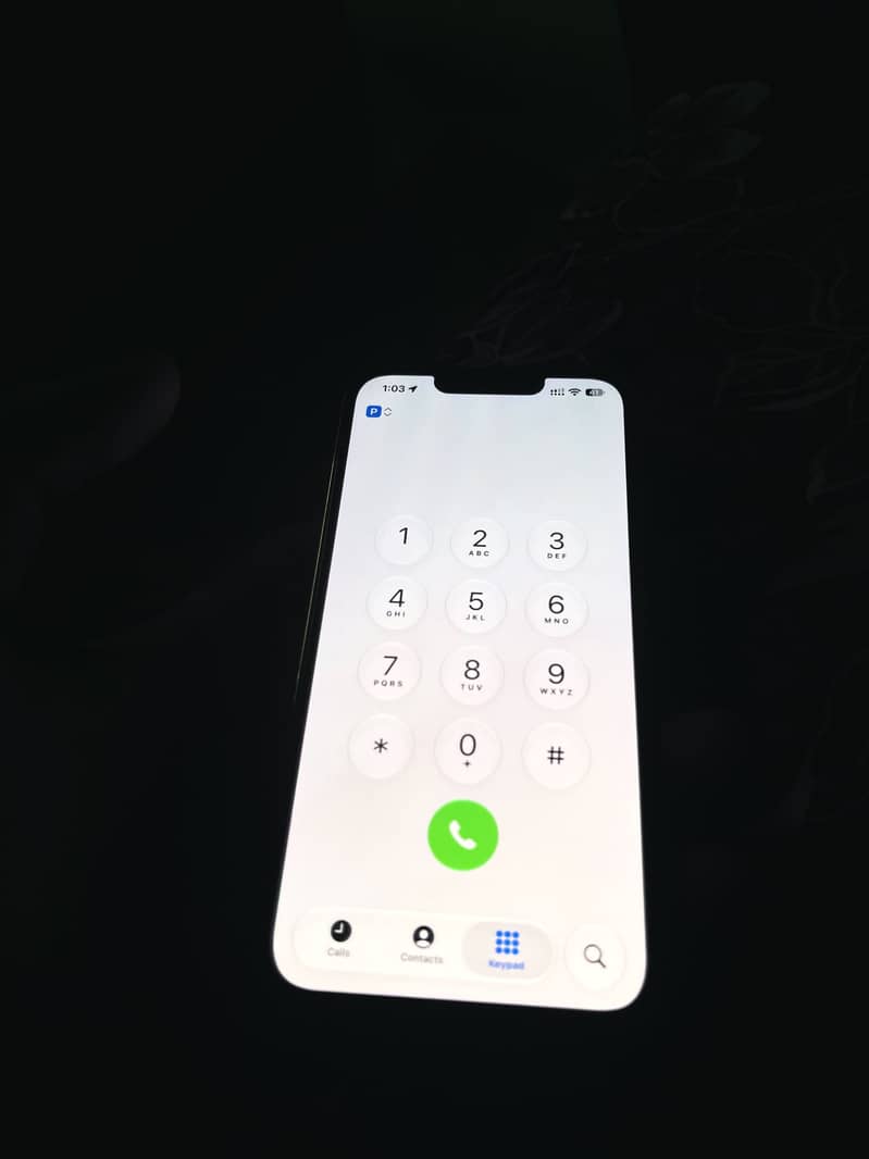 Apple iPhone 13 Pro 12