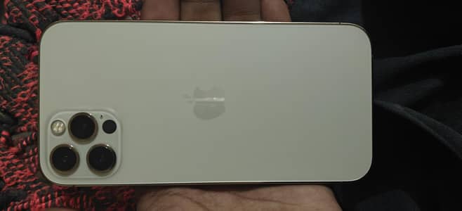 Apple iPhone 12 Pro