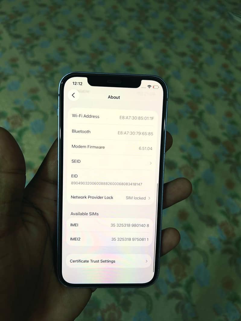 Apple iPhone 12 1