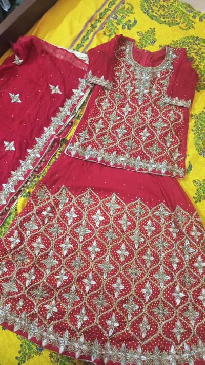 bridle lehnga