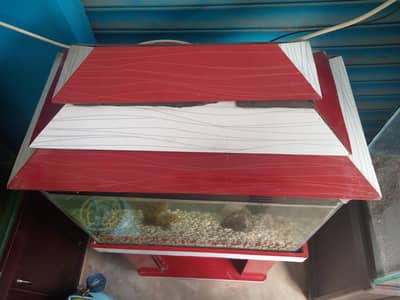 aquarium 10/9 condition