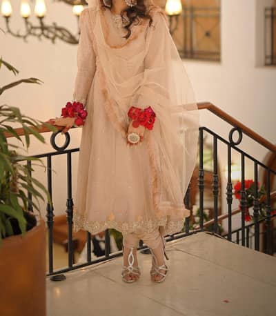 Light Peach Colour