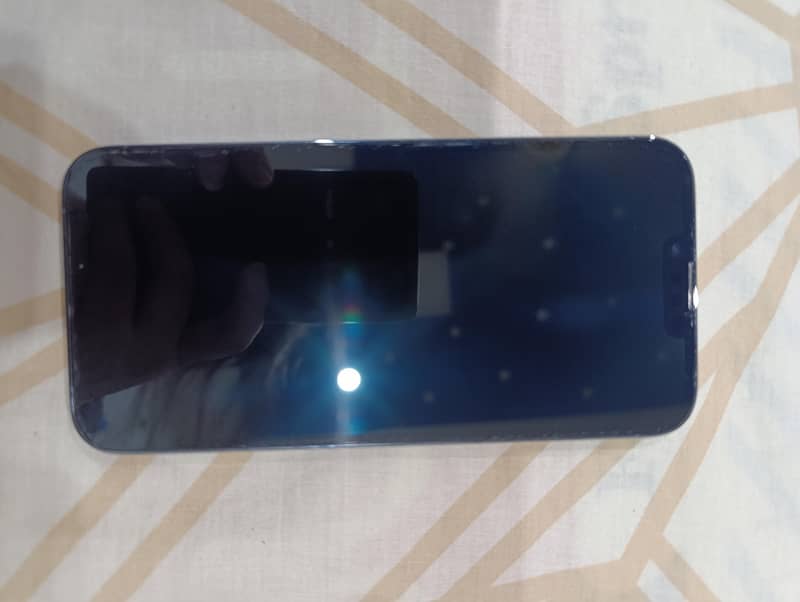 Apple iPhone 13 Pro Max 1