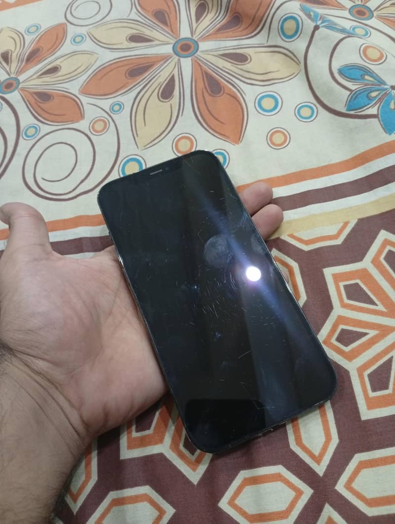 Apple iPhone 12 Pro Max 1
