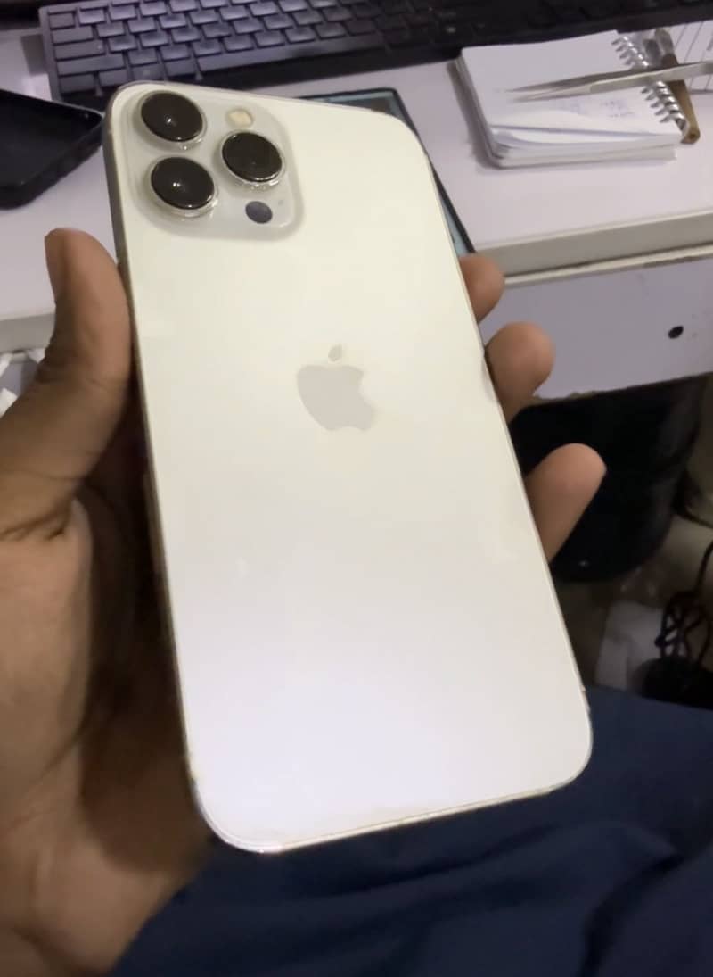 Apple iPhone 13 Pro Max 2