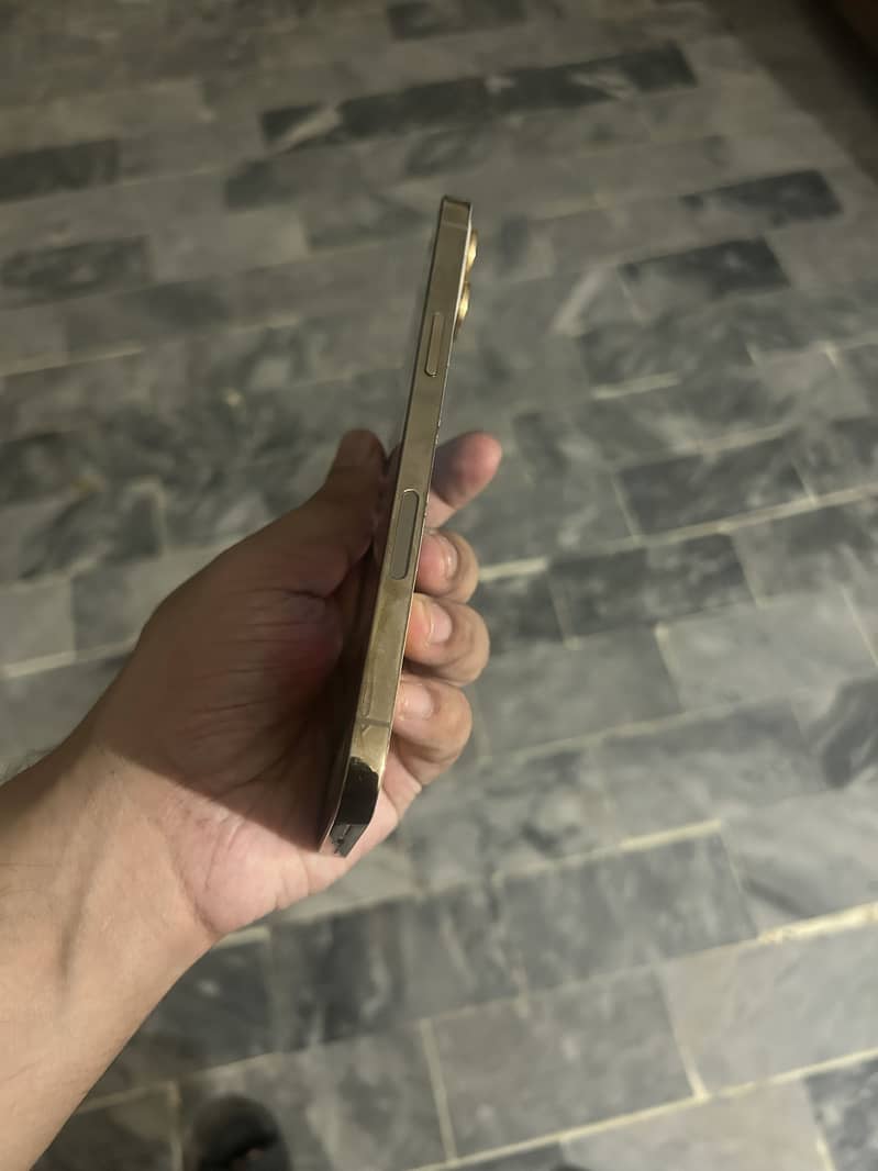 Apple iPhone 12 Pro Max 1