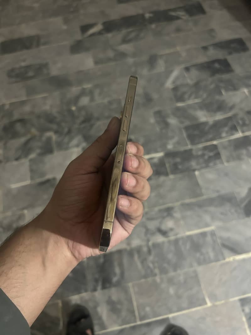 Apple iPhone 12 Pro Max 4