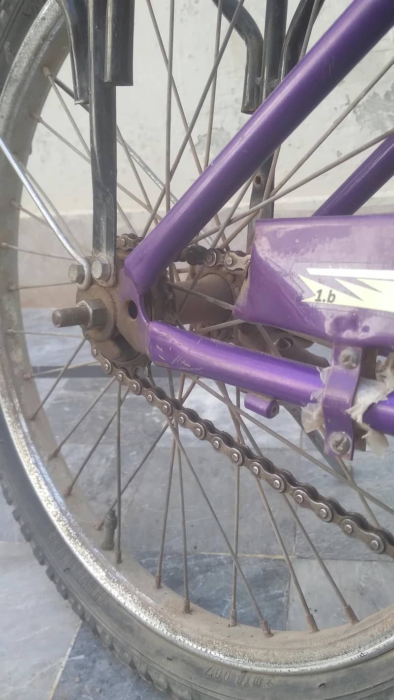 Kidd's Bicycle 3