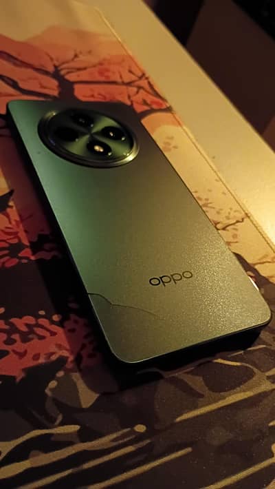 OPPO Reno 12F 8gb 256gb