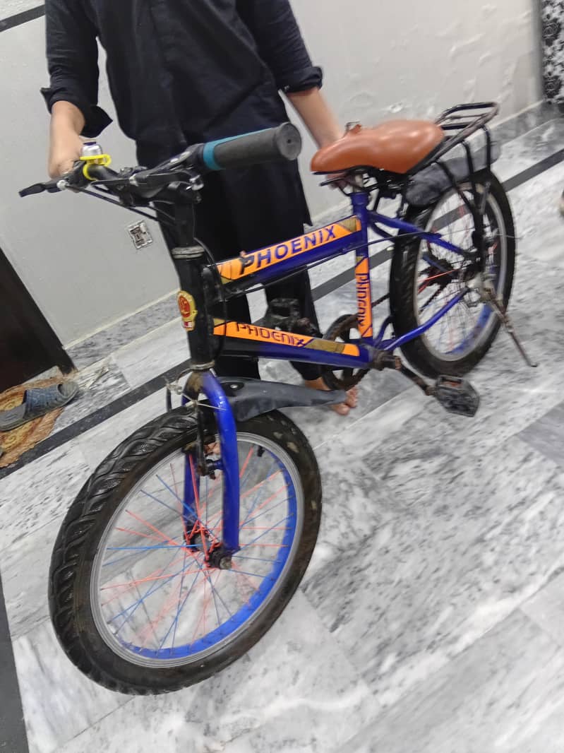 bicycle 2