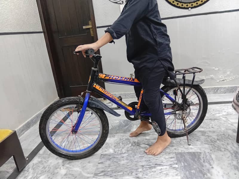bicycle 6