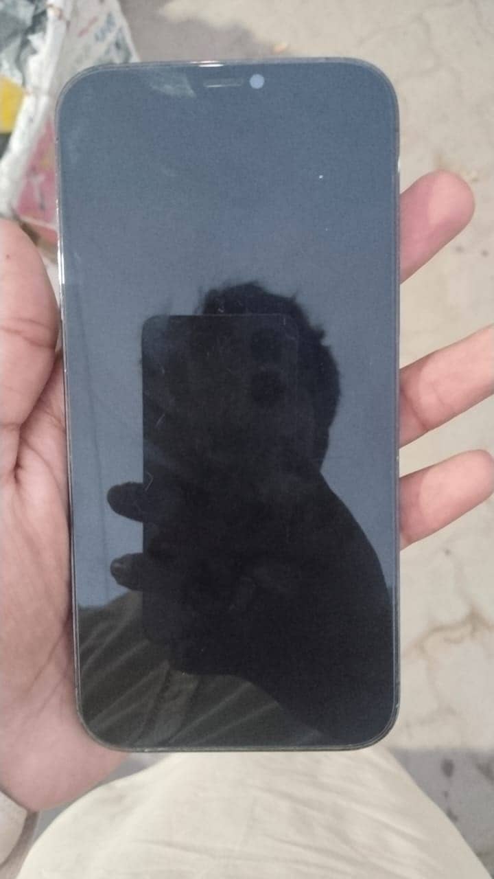 Apple iPhone 12 Pro Max 1