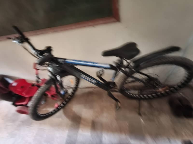 Migger 29" 2