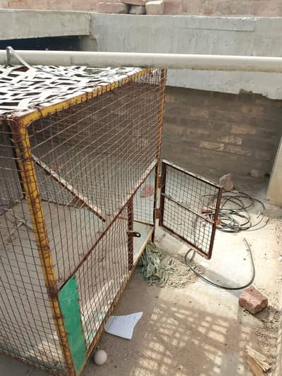 pinjra for sale
