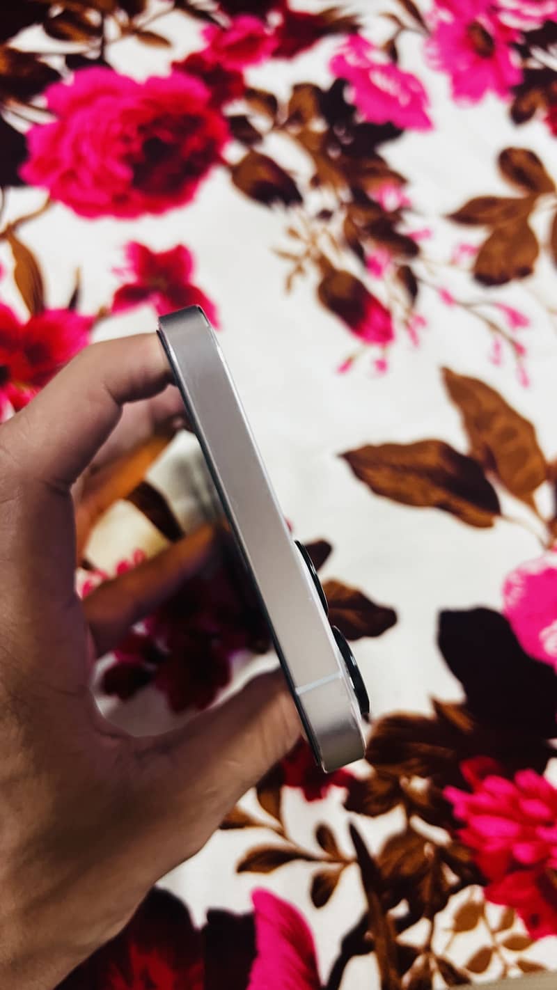 Apple iPhone 12 Pro Max 5